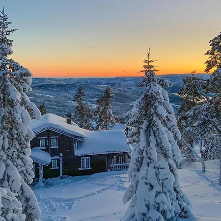 Pet Friendly In Nissedal With Wifi * Kyrkjebygdi