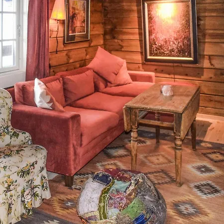 Pet Friendly In Nissedal With Wifi *
