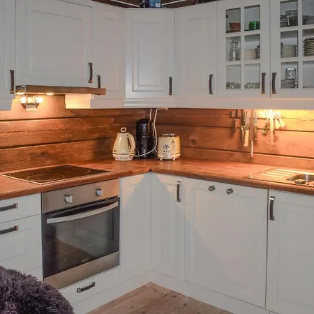 Pet Friendly In Nissedal With Wifi Kyrkjebygdi