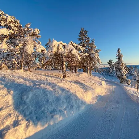 Pet Friendly In Nissedal With Wifi *