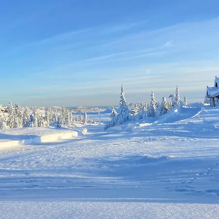 Pet Friendly In Nissedal With Wifi Holiday home *