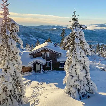 Дом отдыха Pet Friendly In Nissedal With Wifi Kyrkjebygdi