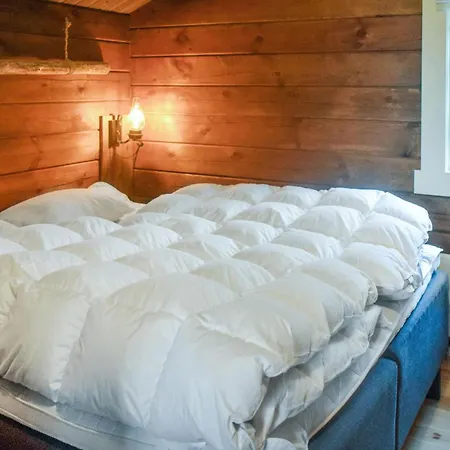 بيت للعطل Pet Friendly In Nissedal With Wifi *