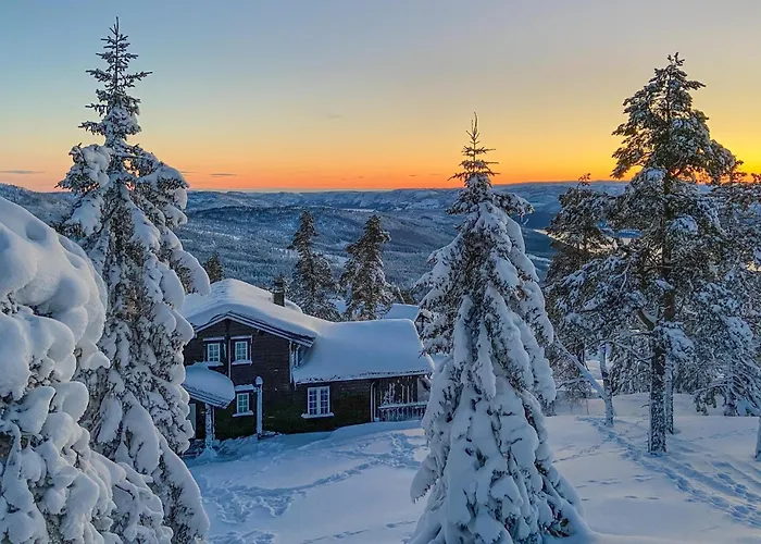 Pet Friendly In Nissedal With Wifi * Kyrkjebygdi